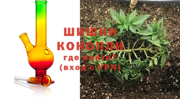 винт Алзамай