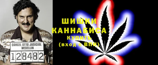 ГАЛЛЮЦИНОГЕННЫЕ ГРИБЫ Алексин