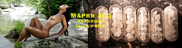 ГАЛЛЮЦИНОГЕННЫЕ ГРИБЫ Алексин