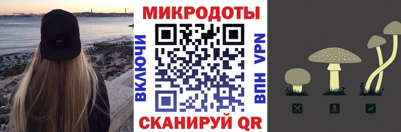 Галлюциногенные грибы прущие грибы Абакан